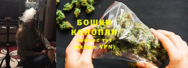 spice Козельск